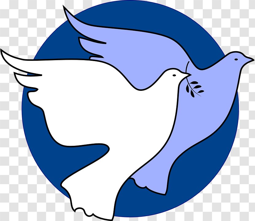 International Day Of Peace Organization Dallas And Justice Center Nonviolence - Bird Transparent PNG