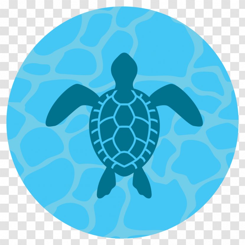 Green Sea Turtle Hawksbill - Species Transparent PNG