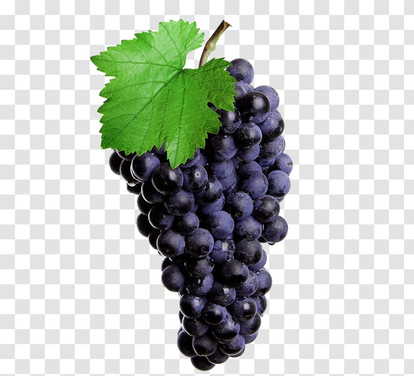 Red Wine Common Grape Vine Isabella Juice Rosxe9 - Shutterstock - Purple Green Leaves Transparent PNG
