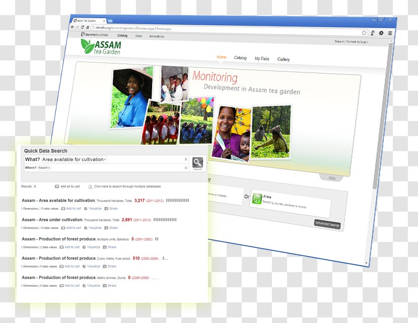 Web Page Display Advertising Brand Computer Software - Assam Tea Transparent PNG