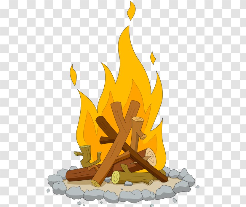 Drawing Campfire Clip Art - Plant Transparent PNG