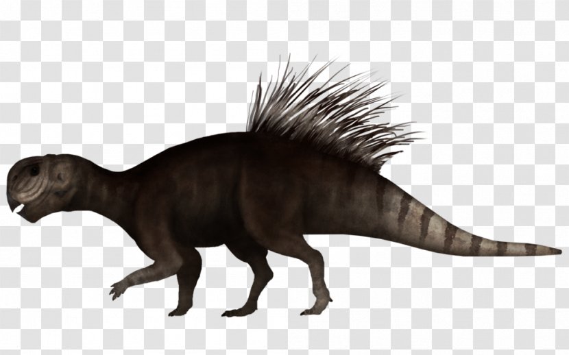 Tyrannosaurus Psittacosaurus Dinosaur Pachycephalosaurus Sauropelta - Terrestrial Animal - Toucan Transparent PNG