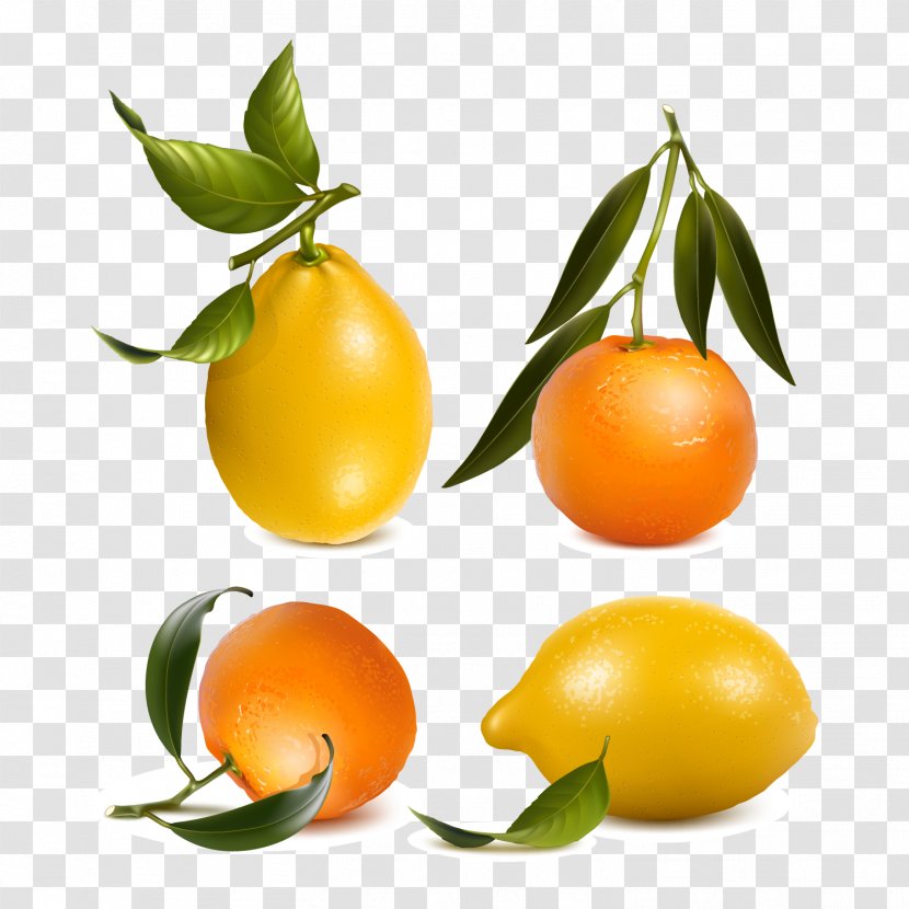 Juice Mandarin Orange Tangerine Lemon - Diospyros - Fresh And Vector Material Transparent PNG