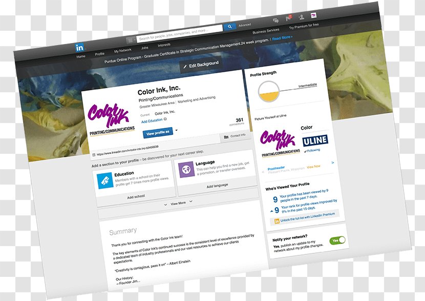 Color Ink Online Advertising Display Web Page - Squid Productions Inc Transparent PNG