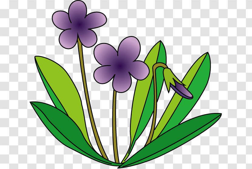 Viola Mandshurica Violet Royalty-free Clip Art - Plant Stem - Voilet Transparent PNG