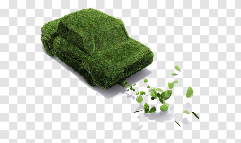 Car Environmental Protection Ekologickxe1 Plaketa Low-emission Zone - Leaf Transparent PNG