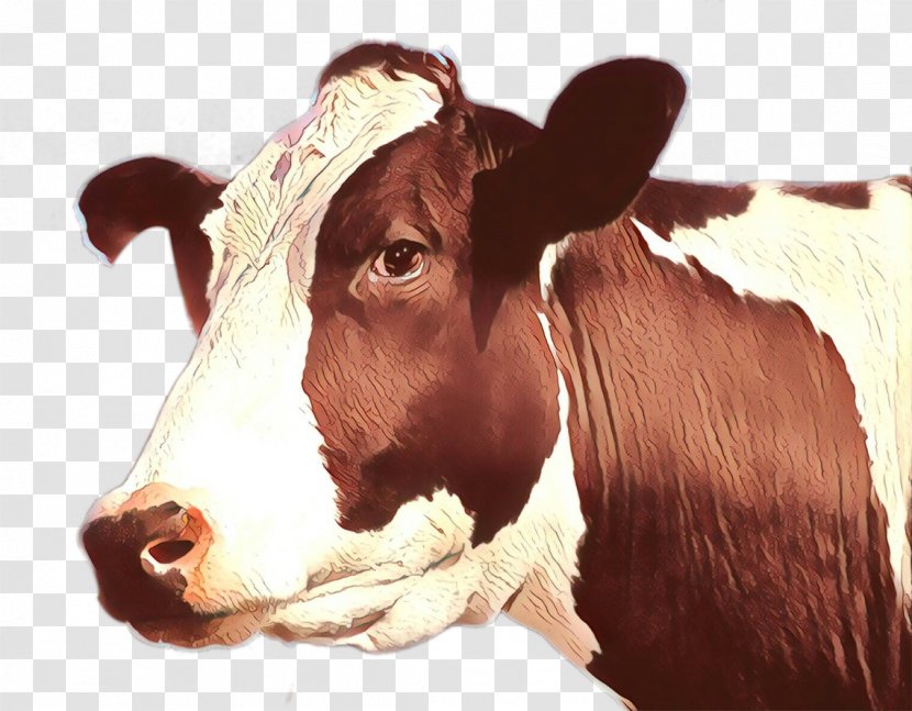 Bovine Dairy Cow Calf Livestock Cow-goat Family - Horn - Bull Ear Transparent PNG