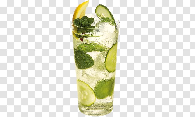 Cocktail Garnish Gin And Tonic Mojito Rickey - Limeade Transparent PNG