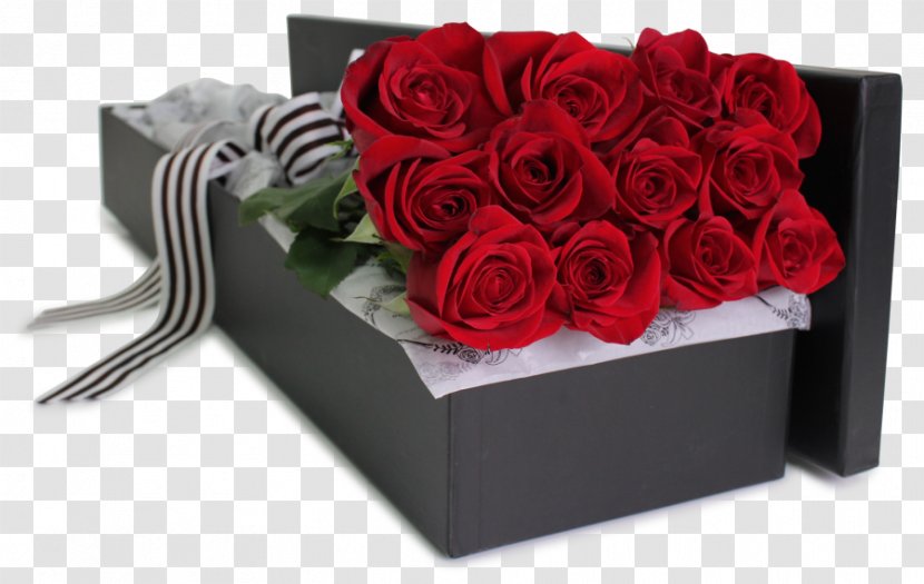 Cut Flowers Garden Roses Floristry - Red - Romantic Flower Title Box Transparent PNG