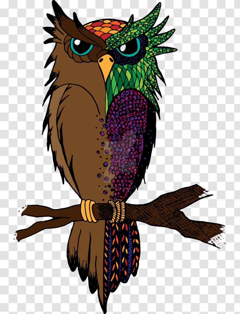 Owl Beak Feather - Bird Of Prey Transparent PNG