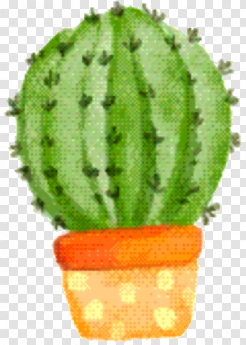 Cactus Cartoon - Melon - Cucumber Houseplant Transparent PNG