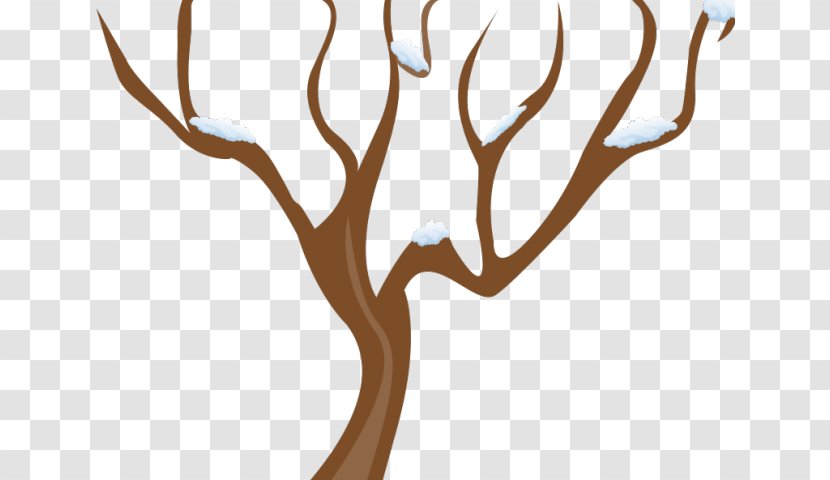 Clip Art Tree Leaf Branch - Candlenut Transparent PNG
