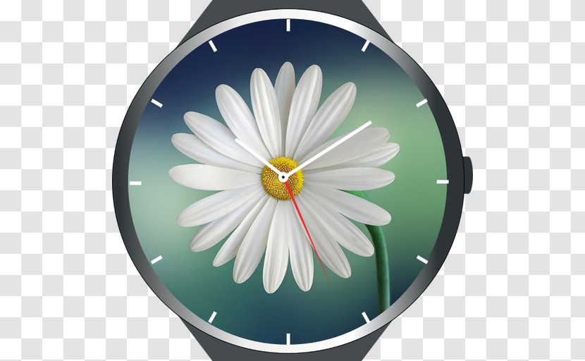 Flower Desktop Wallpaper Mindfulness Part 2 | The Practice Floristry Common Daisy - Mobile Phones Transparent PNG