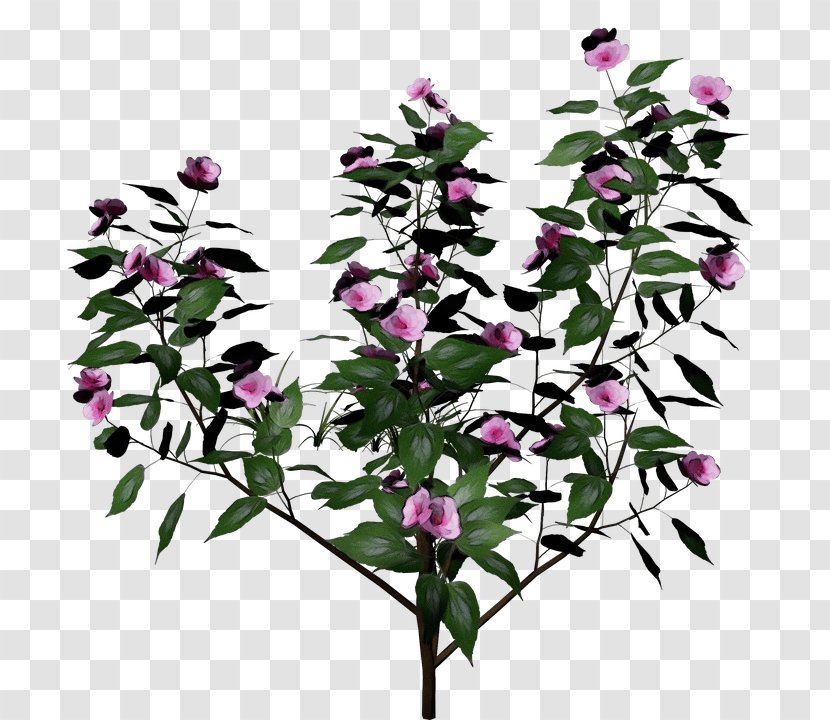 Flower Flowering Plant Pink Bougainvillea - Branch - Dendrobium Cut Flowers Transparent PNG