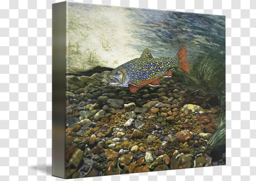 Rainbow Trout Painting Giclée Printmaking - Coral Reef Fish Transparent PNG