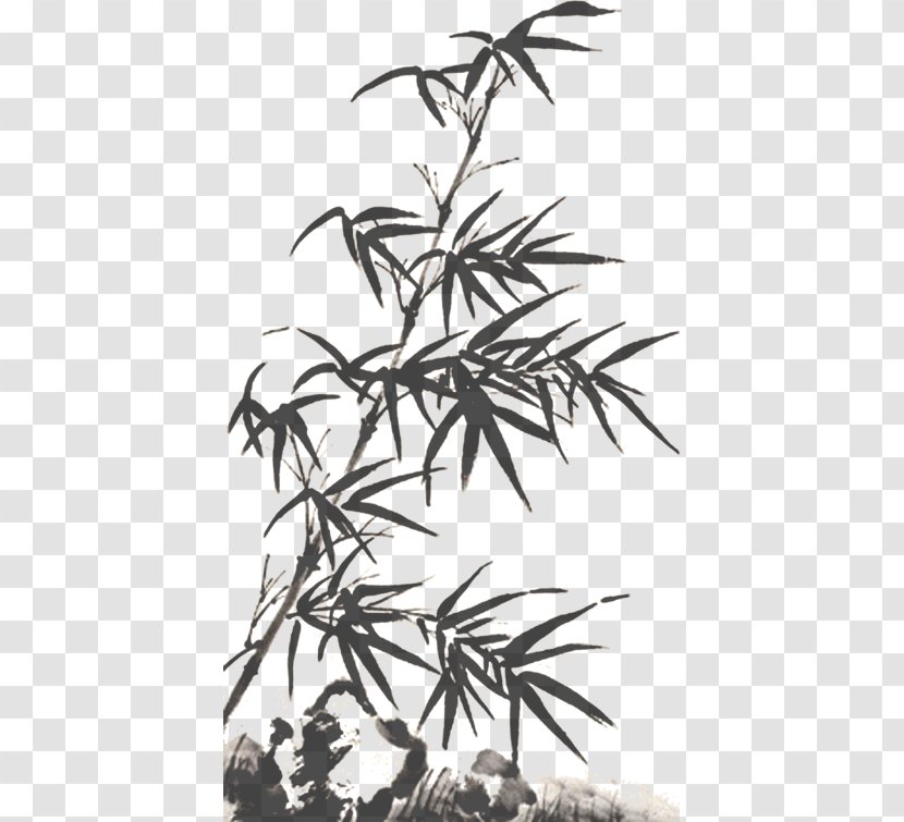 Fundal - Tree - Bamboo Transparent PNG