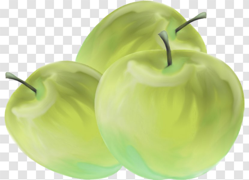 Macintosh Granny Smith Apple - Citrullus Lanatus - Green Transparent PNG
