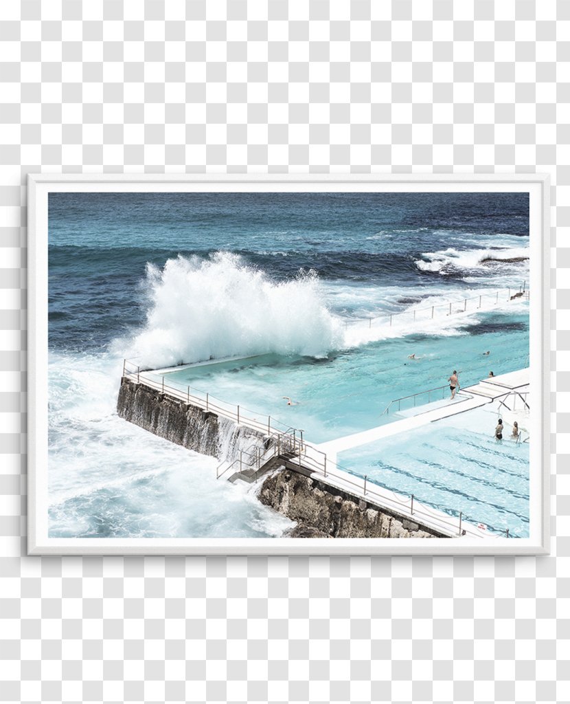 Bondi Beach Icebergs Club POOL Shore - Pool Transparent PNG