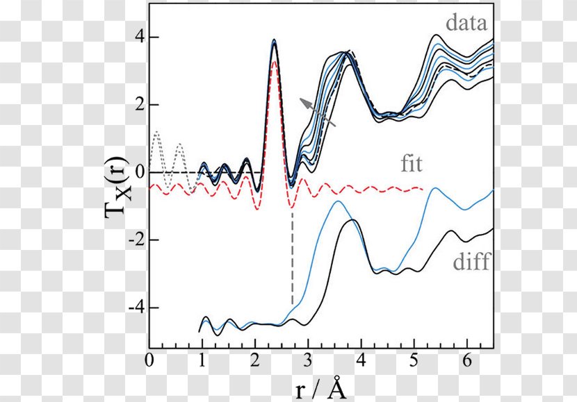 Stony Brook University Phase Diagram Research Polyamorphism - Silhouette - Calcium Silicate Hydrate Transparent PNG