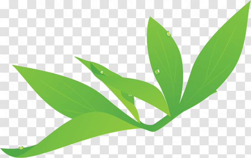 Leaf Plant Stem Grasses 아임미용학원 Branch Transparent PNG