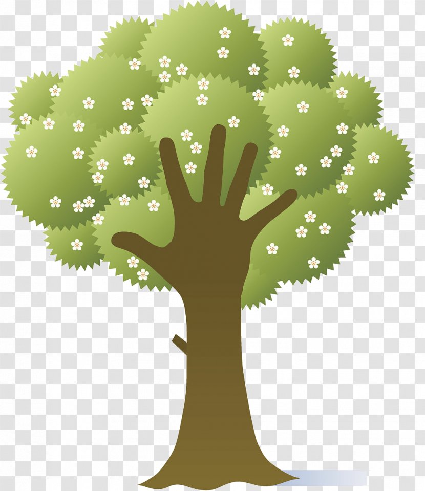 Adobe Illustrator Illustration - Plant - Green Creative Palm Tree Transparent PNG