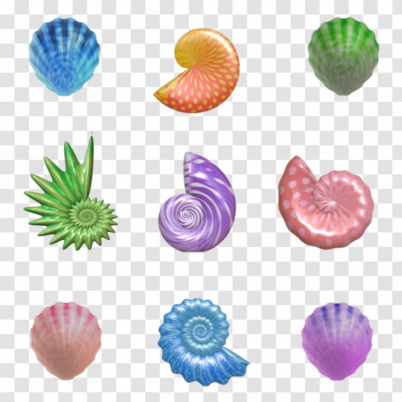 Seashell Nautilidae Gastropod Shell - Organism - Seashells Transparent PNG