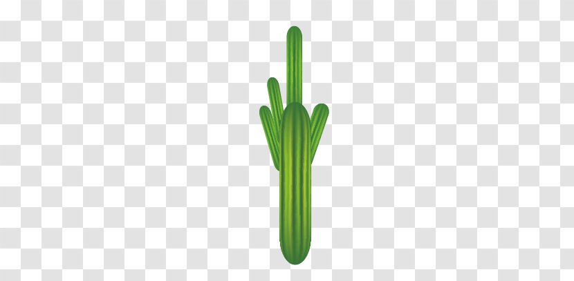 Green Pattern - Computer - Cactus Transparent PNG