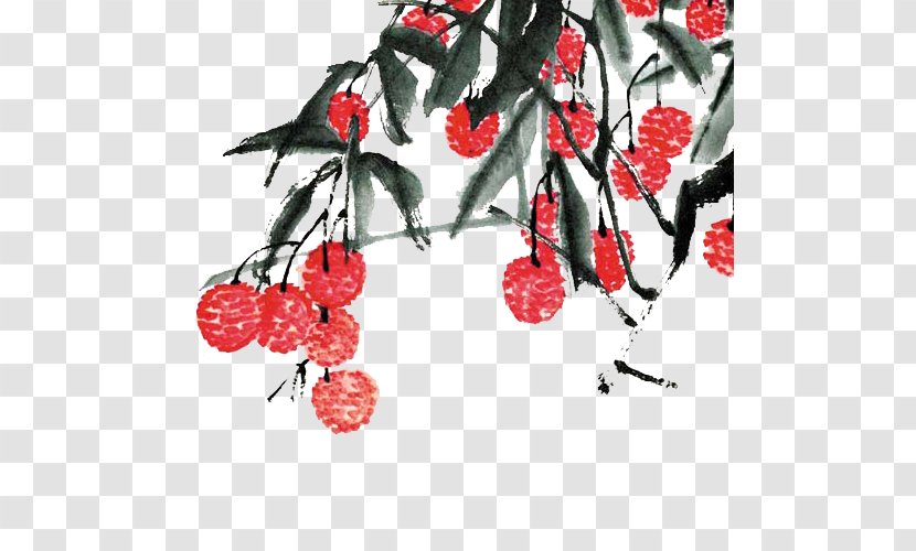 U8354u679d Chinese Painting Ink Wash Lychee - Flowering Plant - Litchi Tree Transparent PNG