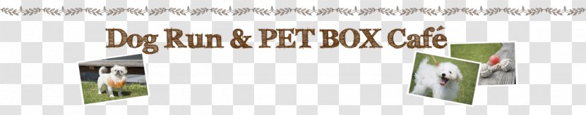 Product Design Paper Brand Font - Banner - Dog Run Transparent PNG