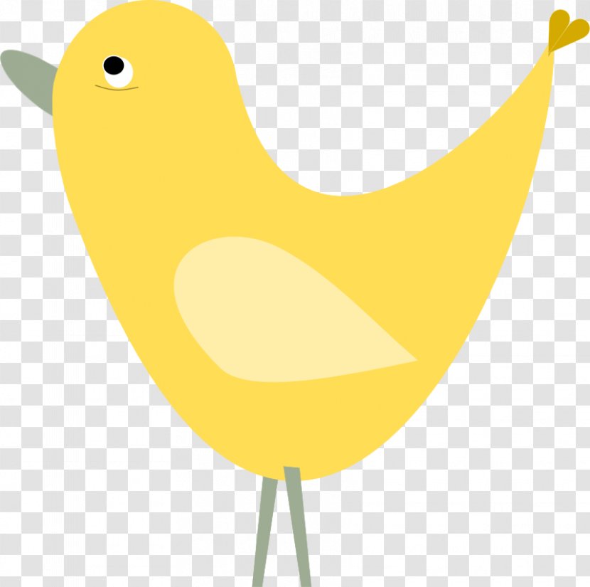 Beak Bird Duck Chicken Goose - Organism - Graphics Of Birds Transparent PNG