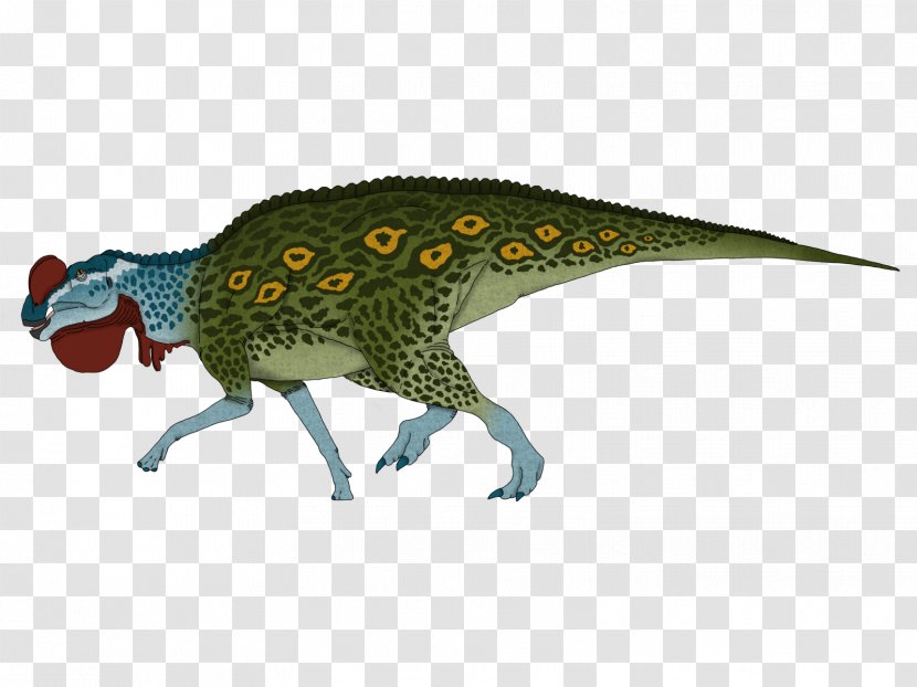 Austroraptor Tyrannosaurus Dryptosaurus Animal Pelagosaurus - Drawing Transparent PNG