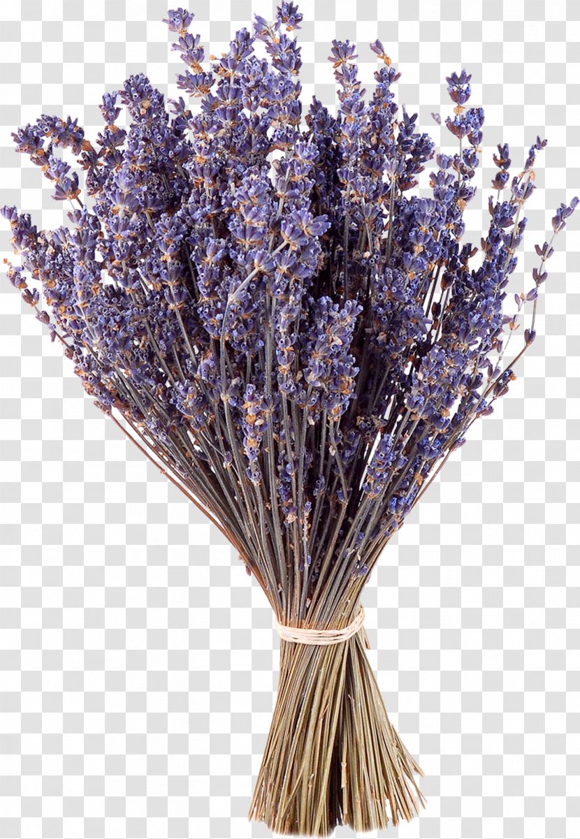 Lavender Purple Flower Google Images - Bouquet Transparent PNG