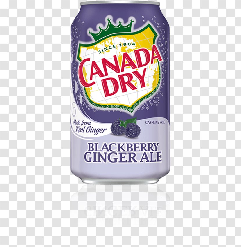 Ginger Ale Fizzy Drinks Lemonade Carbonated Water Beer - Canada Dry Transparent PNG