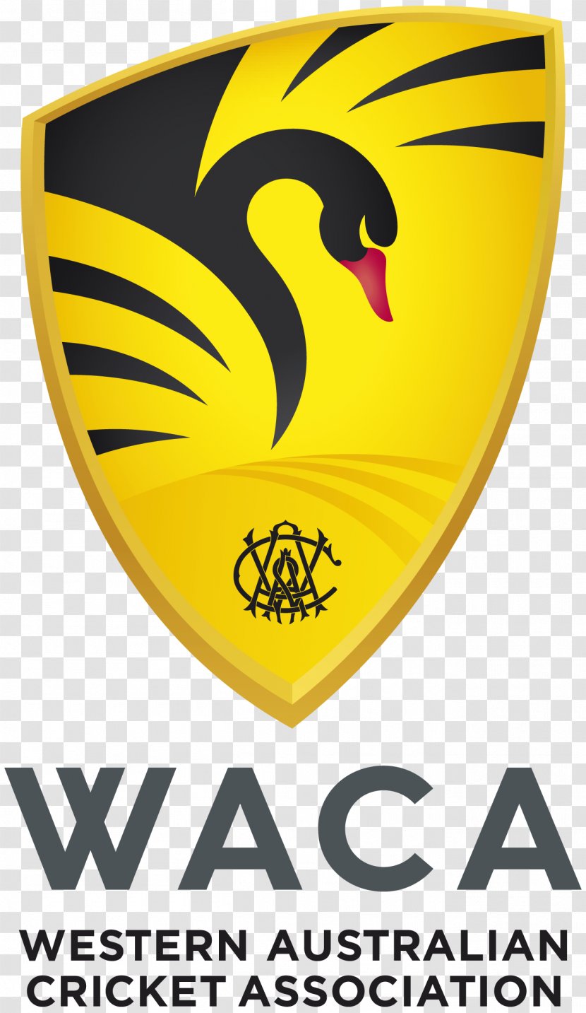 Australia National Cricket Team World Cup Western WACA Ground - Bowling (cricket) Transparent PNG