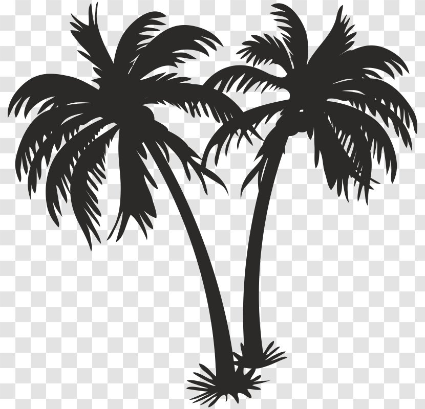 Asian Palmyra Palm Coconut Oil Trees - Silhouette Transparent PNG