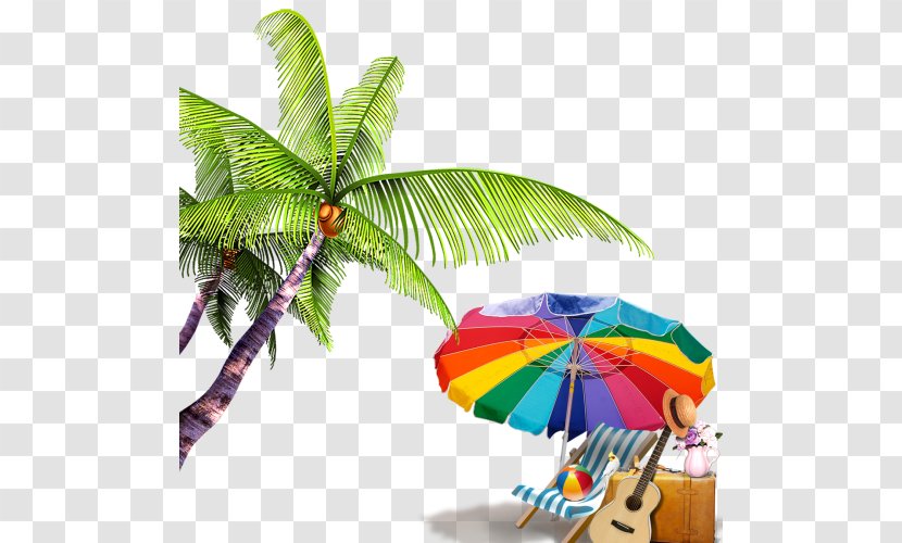 Summer Palm Tree - Leaf - Tropics Coconut Transparent PNG