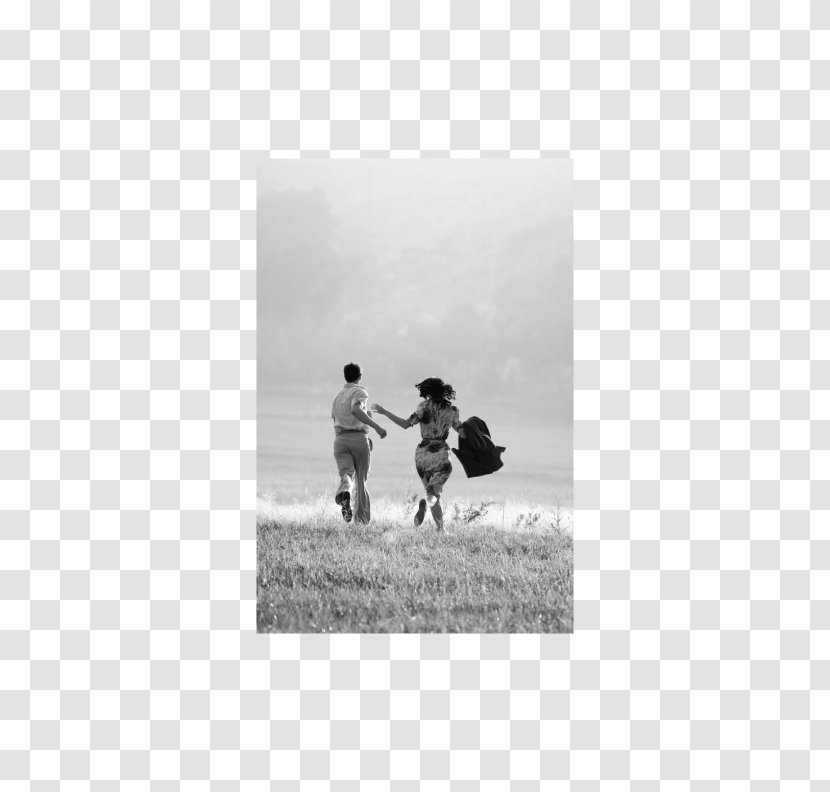 Love Photography Friendship Painting - Hatred - Coming Soon Transparent PNG