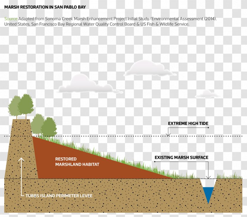 Line Brand Angle Water Resources Transparent PNG