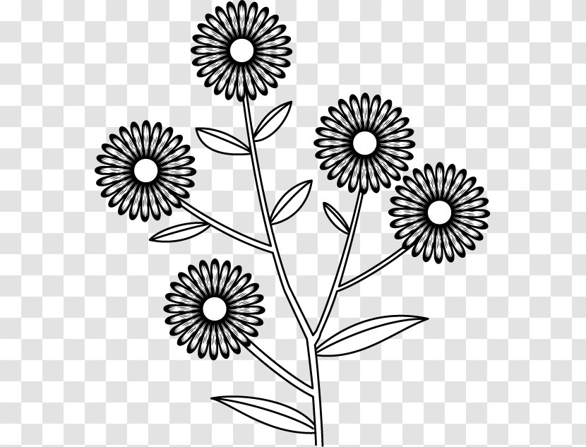 Cut Flowers Floral Design Chrysanthemum Clip Art - Monochrome - Aster Flower Transparent PNG