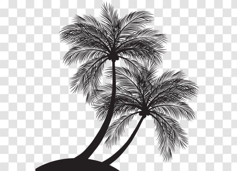 Palm Trees Vector Graphics Clip Art Silhouette Illustration - Tree Transparent PNG