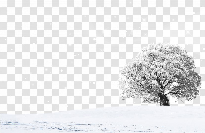 Snow Landscape - Monochrome - Design Transparent PNG
