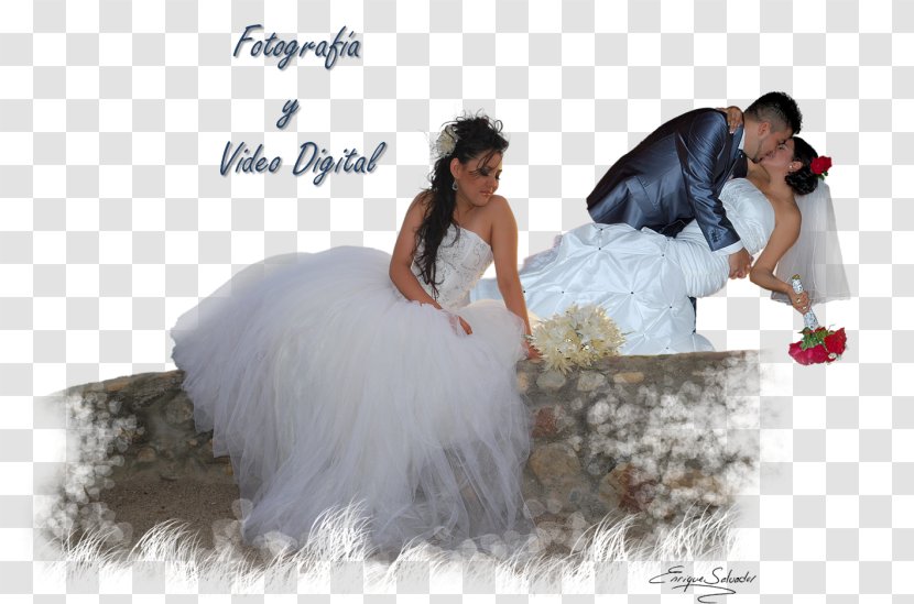 Wedding Dress Bride - Bridal Clothing Transparent PNG