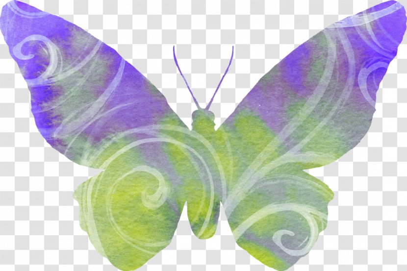 Butterfly Desktop Wallpaper Clip Art - Invertebrate - Animal Watercolor Transparent PNG