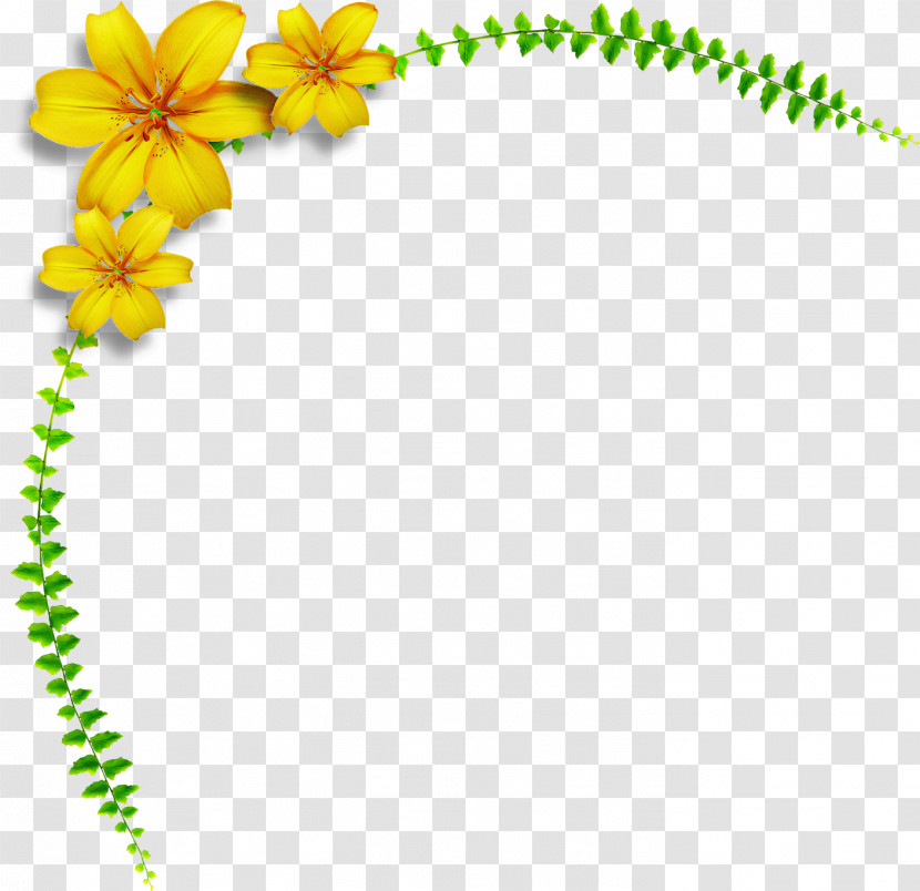 Lily Flower Transparent PNG