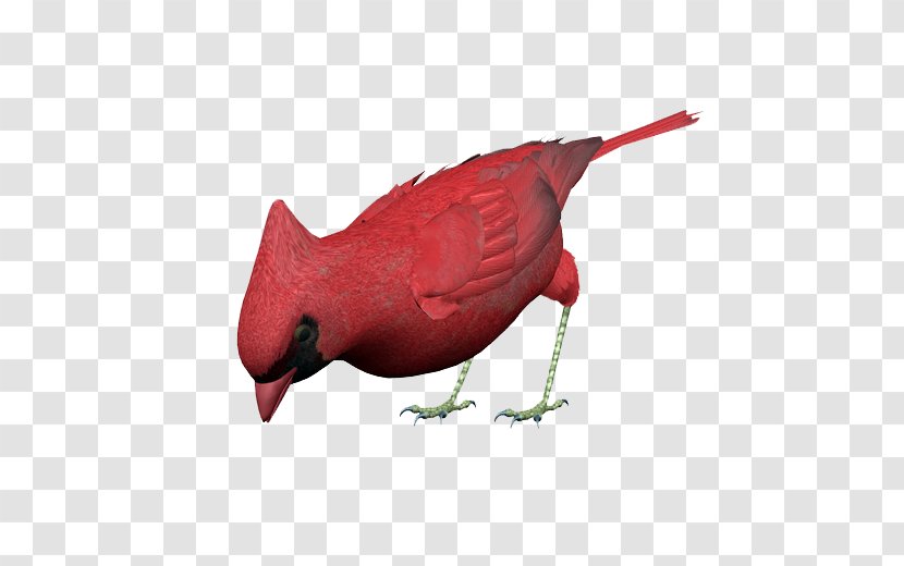 Bird Red Vinaceous Rosefinch - Cartoon Transparent PNG