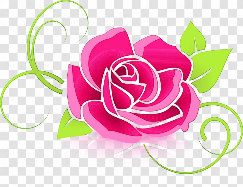 Garden Roses Vector Graphics Desktop Wallpaper Design - Floral - Petal Transparent PNG