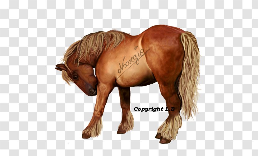 Mustang Stallion Mare Halter Freikörperkultur - Cocker Spaniel Transparent PNG