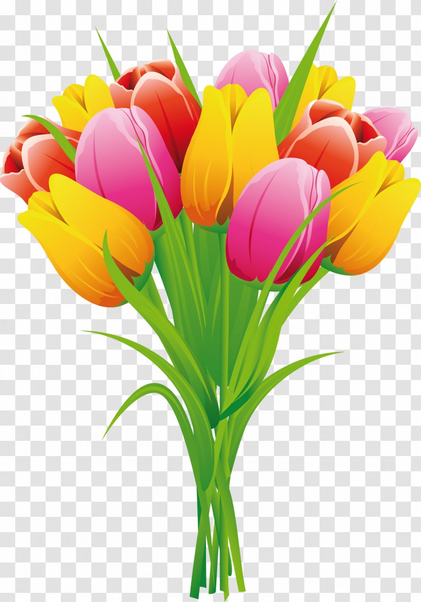 Tulip Flower Clip Art - Lily Family Transparent PNG