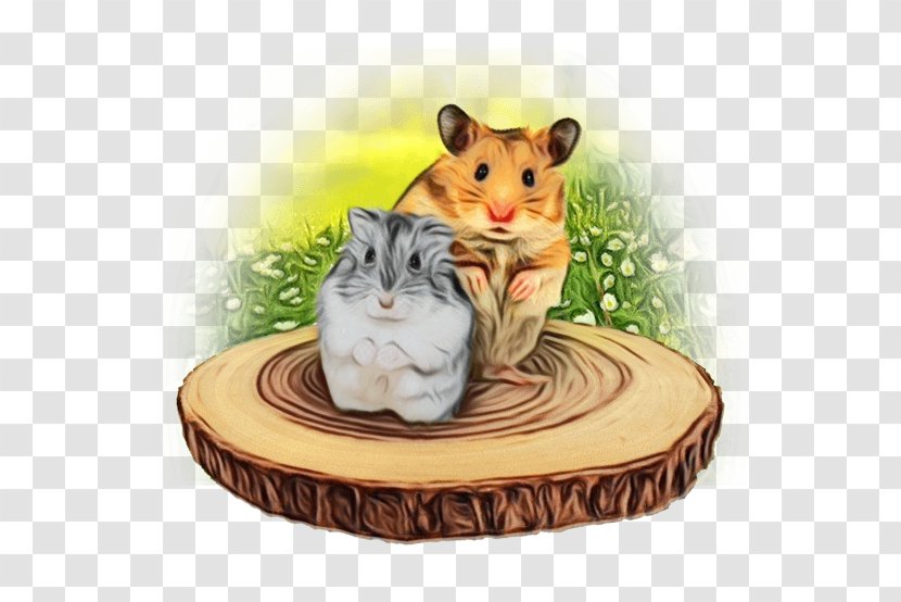 Hamster - Mouse - Beige Cat Transparent PNG