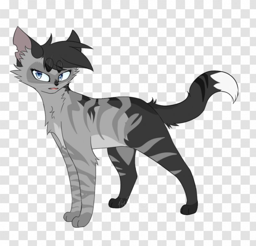 Kitten American Wirehair Whiskers Hate Me Domestic Short-haired Cat - Paw - Ashen Transparent PNG